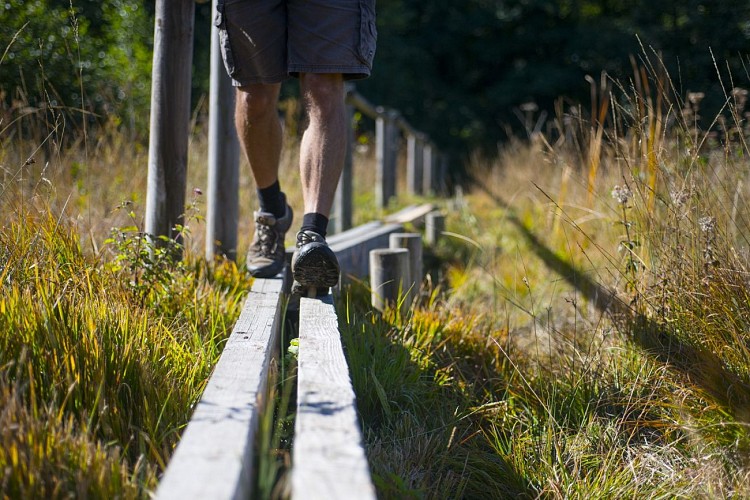Maravant marsh discovery trail