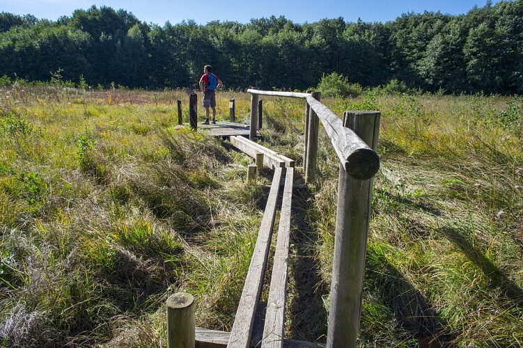 Marais du maravant, site emblématique du Géoparc mondial UNESCO du Chablais