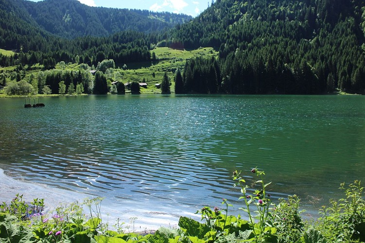 Lac des Plagnes