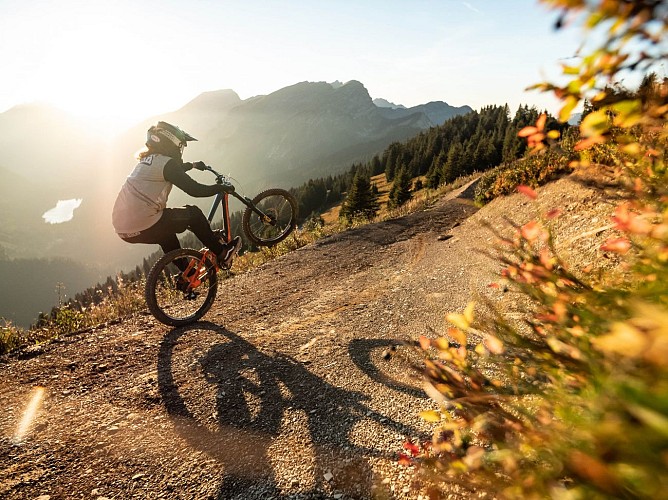 Mountainbike piste Panoramic