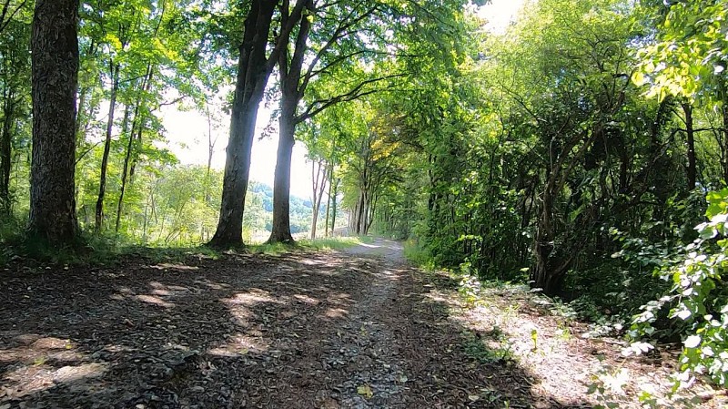 ça roule ? Barvaux - Durbuy
