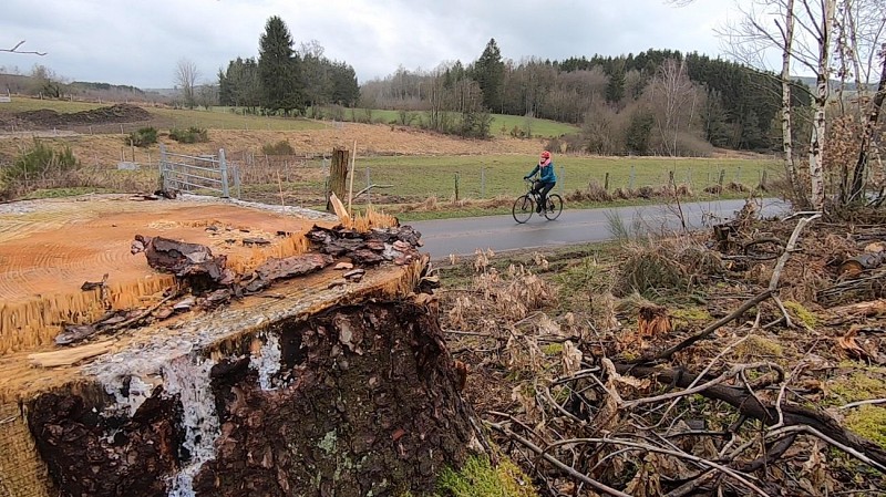 ça roule? La romantique vallée de l'Our