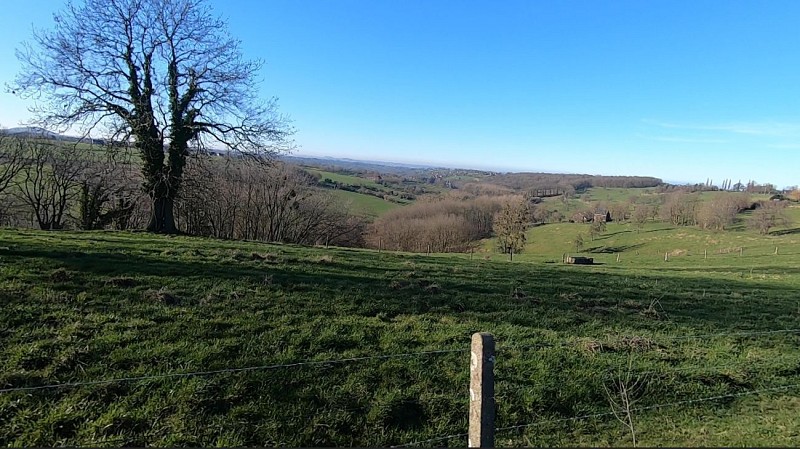 ça roule ? Belle-Île - L38 - Herve - Visé