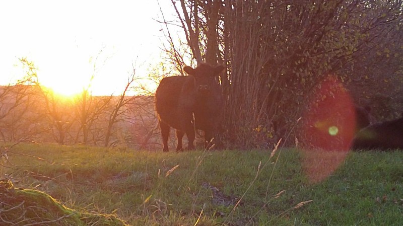 ça roule ? Welkenraedt - 3 frontières - Hombourg