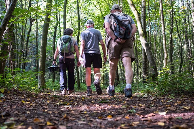 Route walk - Sentier des Abbayes Trappistes - Chimay