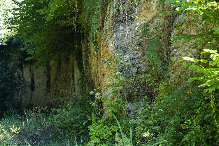 Les Faluns, mur archéologique, sous le pont de Salles
