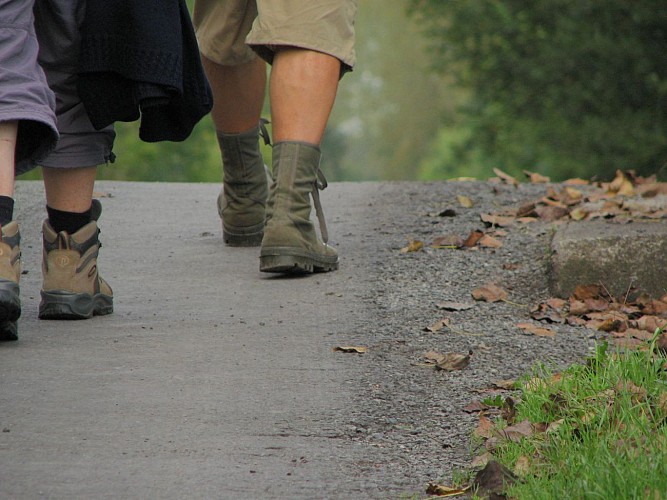 Randonneurs dans le Marais poitevin