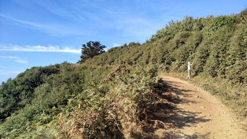 Sentier des falaises - Palus -> Gwin Zélag AR