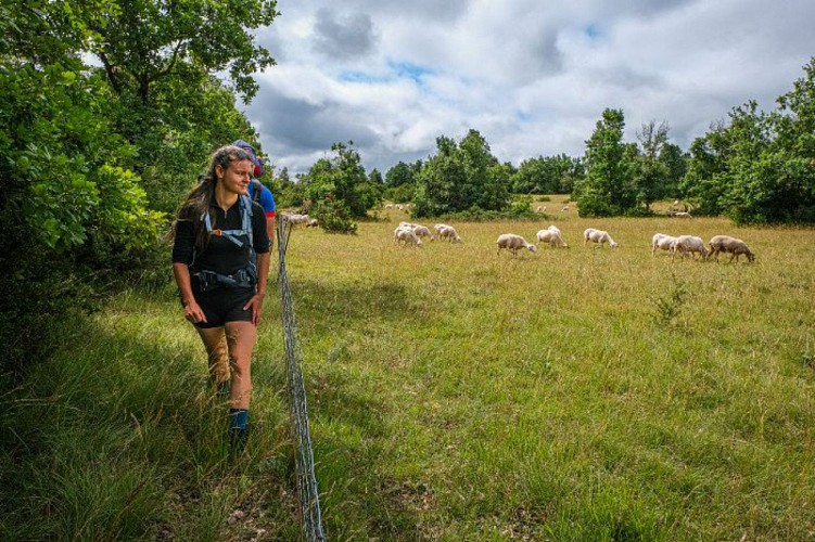 Après La Salvetat...