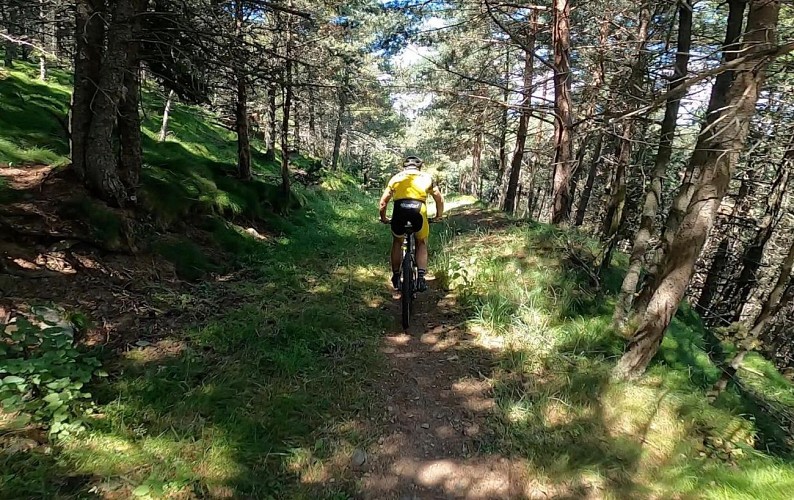 VTT n°3 - La Rosée du Puigmal