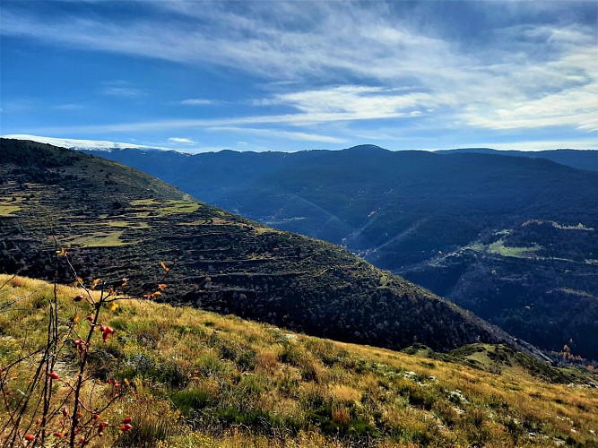 Vue sur la vallée de Valcebollère