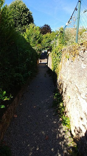 Descente vers la Moselle