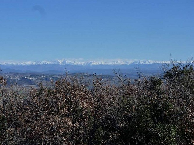 Rando : Panorama à 360° à Vitrolles en Luberon