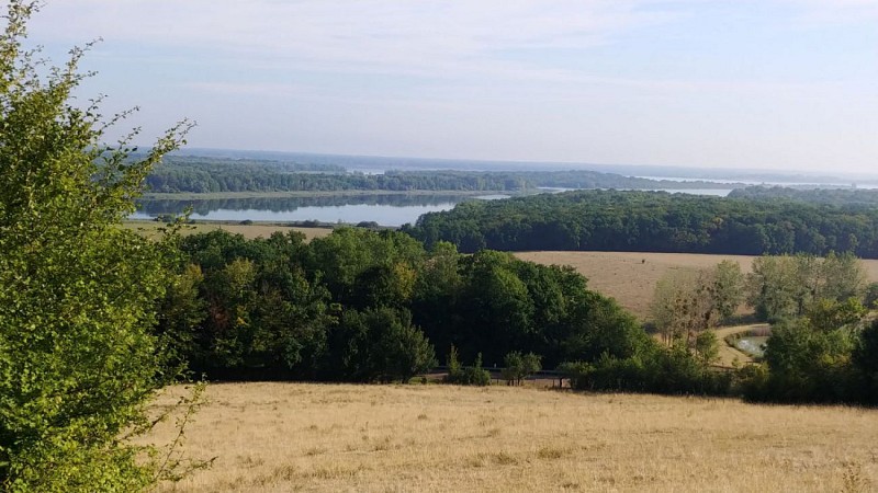 sur le chemin qui mene à l'etang