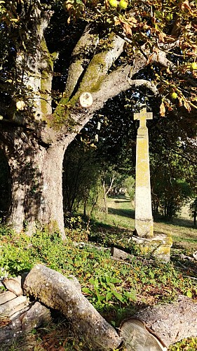 prendre le chemin qui descend sur la droite