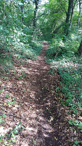 sentier qui va au mémorial