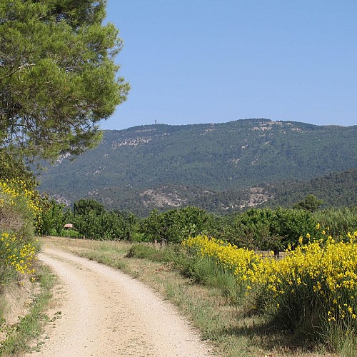 Rando: Les crêtes du Luberon au départ de La Motte d'Aigues