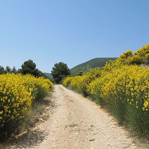 Rando: Les crêtes du Luberon au départ de La Motte d'Aigues