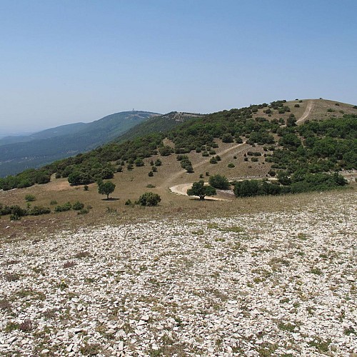 Rando: Les crêtes du Luberon au départ de La Motte d'Aigues