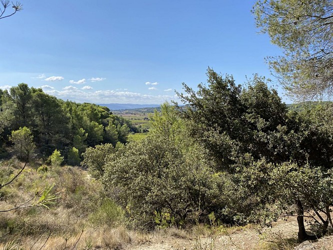 vue de la montagne alaric