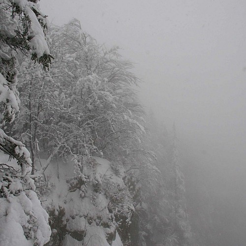 Un belvédère en hiver...