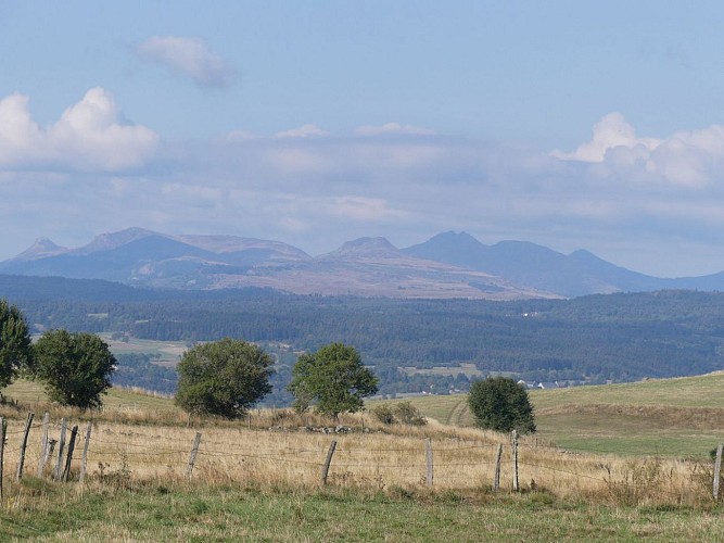Le Baladour - le bois de Lampres par Chanzac