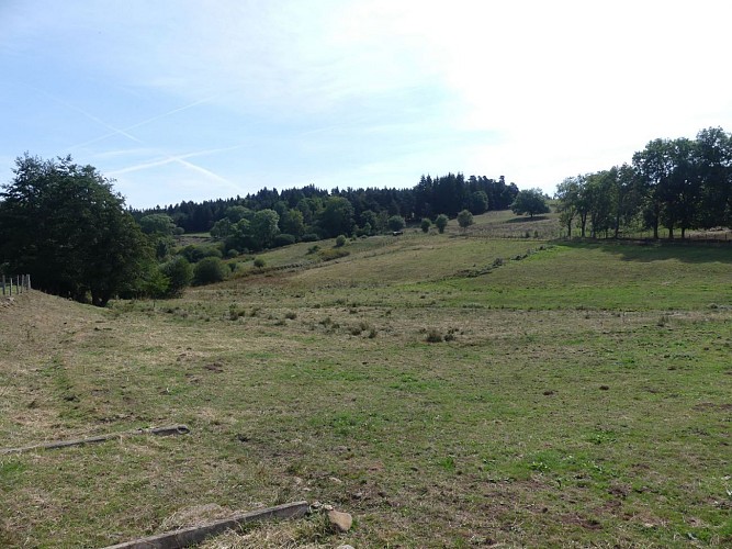 Pinatelle de Maillargues et bois de Nuits
