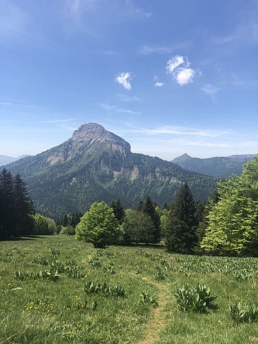 5 - Le Roc d'Arguille on trail