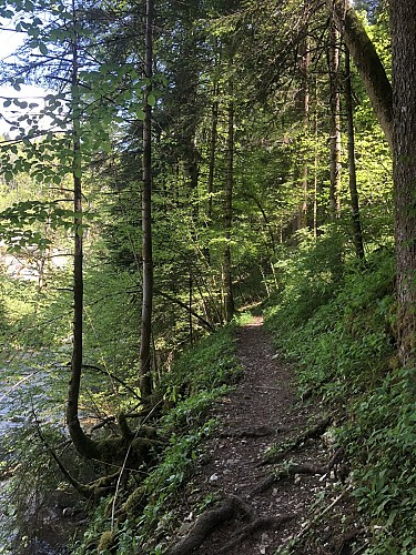 5 - Le tour du Roc d'Arguille on trail
