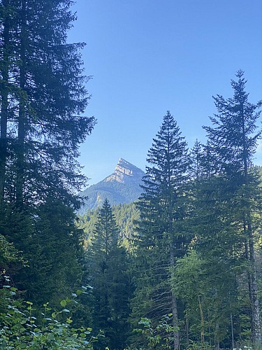 7 - Le Grand Som on trail