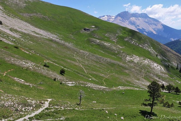 Col de Plate Contier