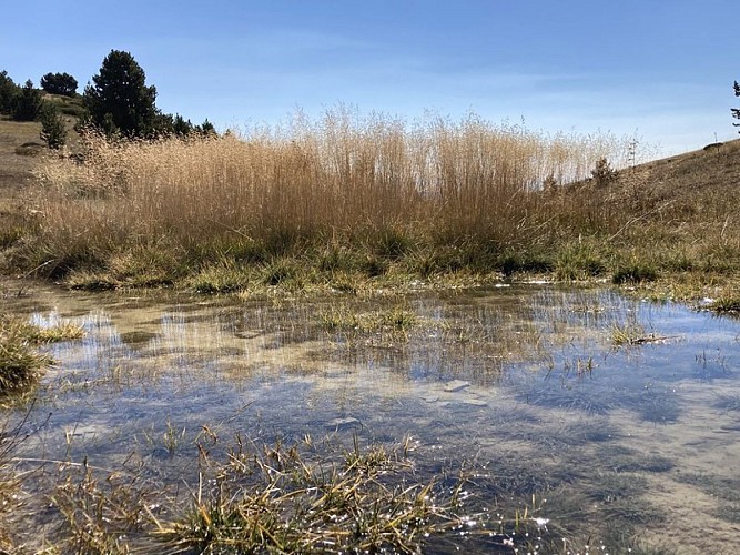 Les Marais de Raux