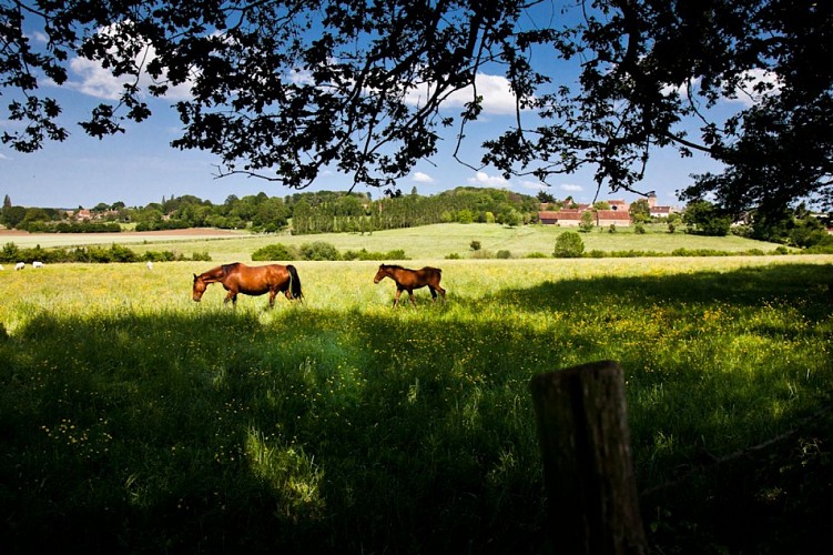 Saint-Jean-des-Échelles