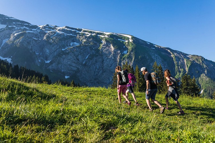 Tour of the alpine pastures from Fréterolle to Chardonnière