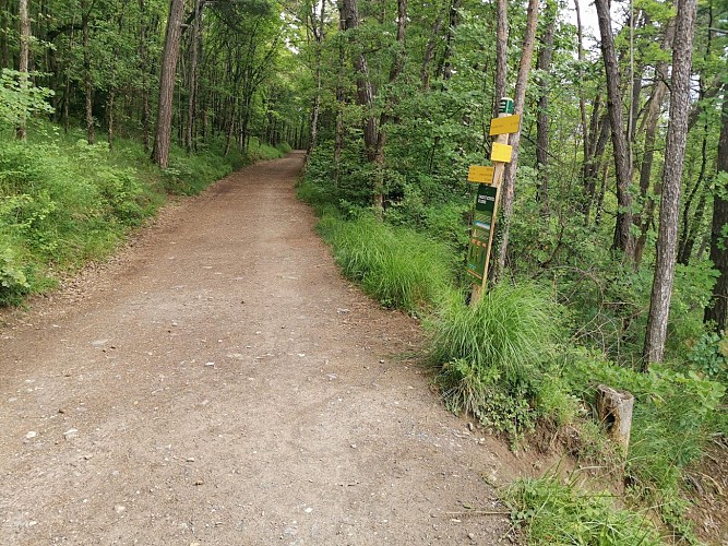 Passerelle de l'Ebron (par la piste)