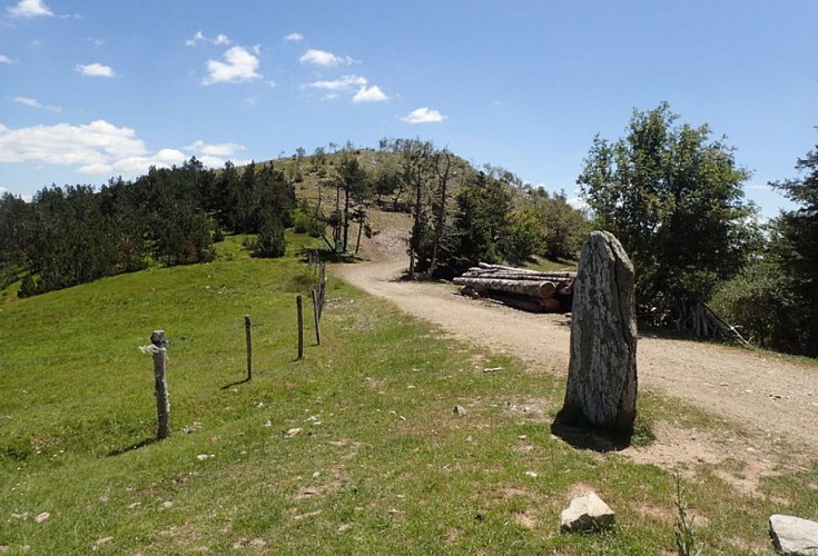 Menhir de Trépaloup
