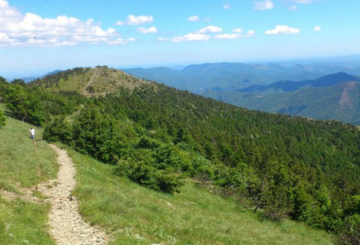 Vue sur les Cévennes