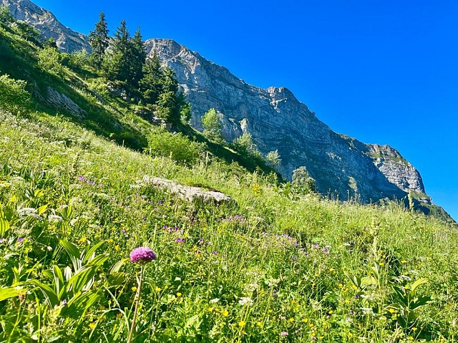 Hiking itinerary: Lac des Chambres via the Folly refuge