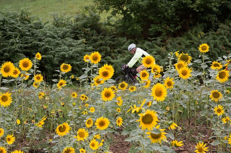 Circuit Vélo Valence d'Albigeois