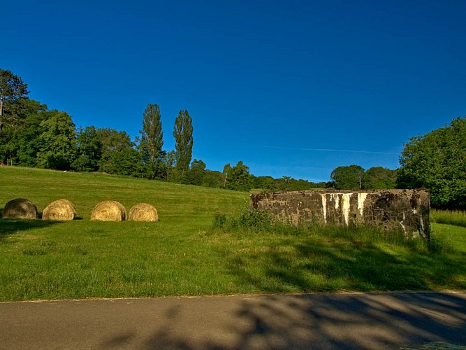 le plateau à gryphées