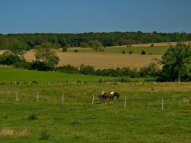 Panorama depuis le chemin