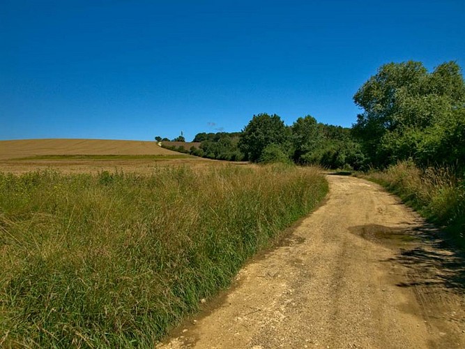 La campagne