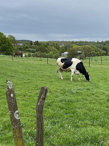 ça roule? à la découverte d'Haccourt et environs.