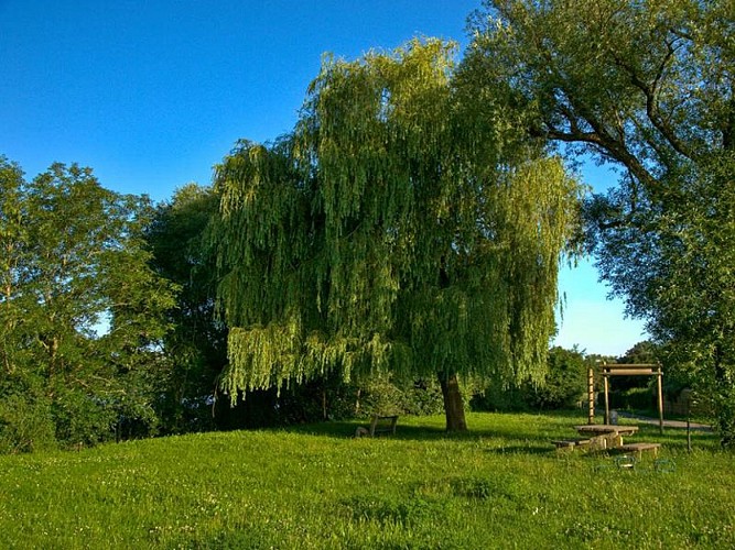 Aire de repose de Bousse