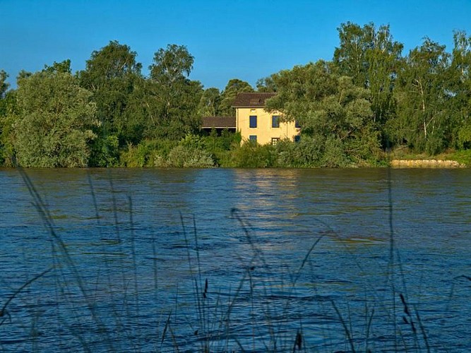 Moselle sauvage à Bousse