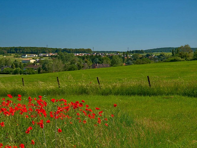 Panorama depuis le Moncheweg