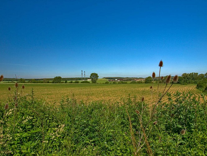 Paysage sur le Chemin des Romains