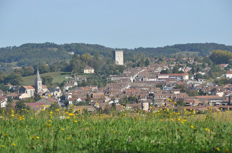 GR 654 De Orthez à Sauveterre-de-Béarn