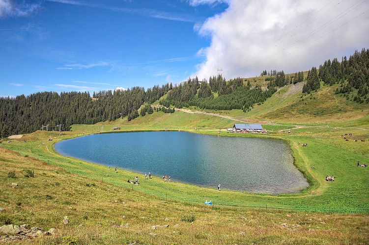Alpage et lac de l'Airon en télécabine