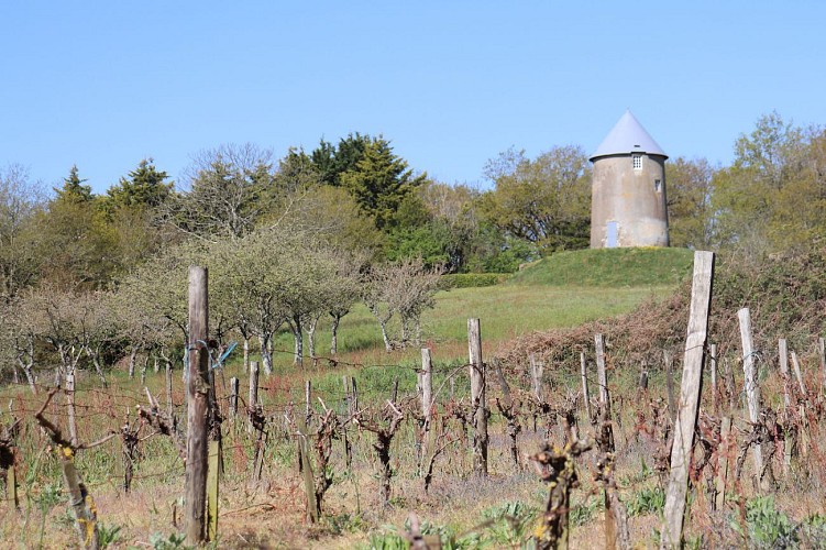 1 - St Paul en Pareds -  Le Chevalier du Landreau